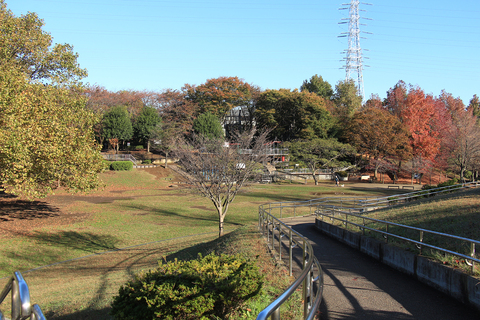 岸根公園(徒歩10分)