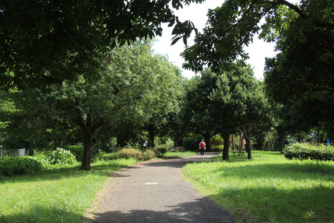 太尾町公園(徒歩3分)