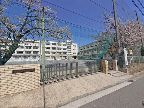 横浜市立師岡小学校(徒歩12分)