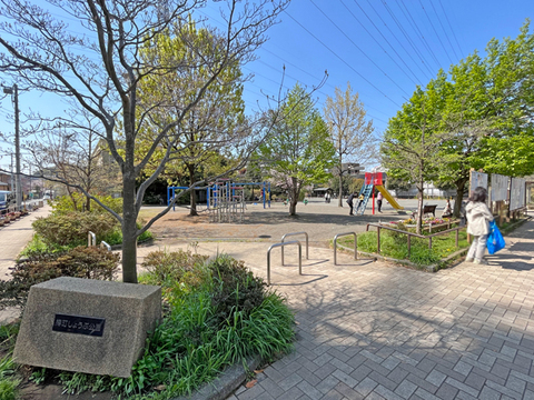 樽町しょうぶ公園(徒歩10分)