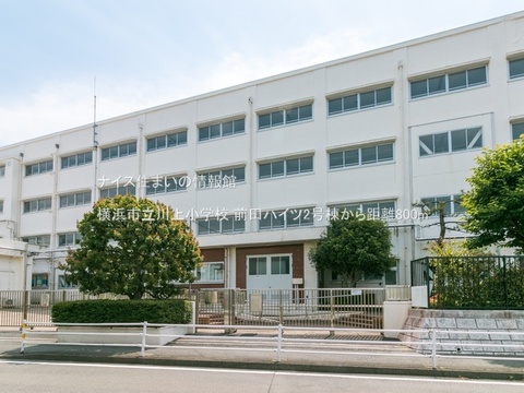 横浜市立川上小学校(徒歩10分)