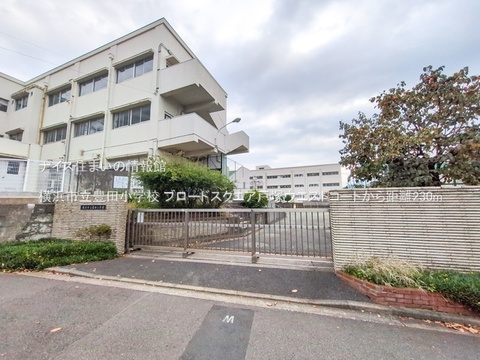 横浜市立豊田小学校(徒歩3分)