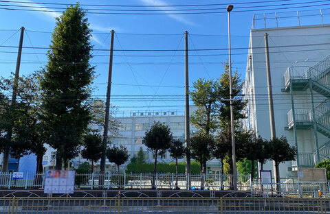 品川区立浜川中学校(徒歩17分)