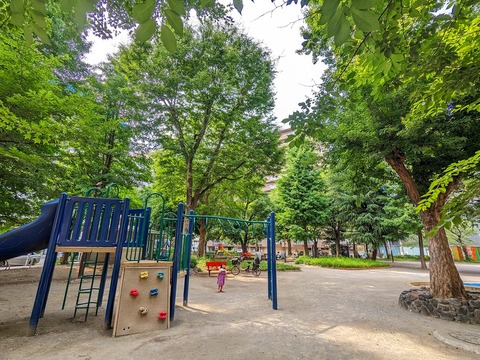 入新井公園(徒歩4分)
