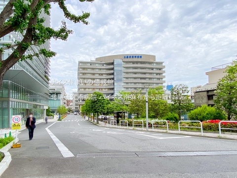 北里研究所病院(徒歩15分)