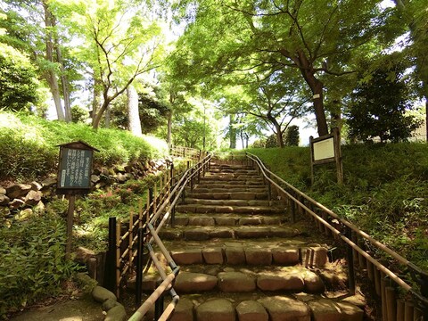 蘇峰公園(徒歩4分)