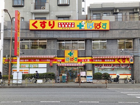 どらっぐぱぱす 西馬込店(徒歩5分)