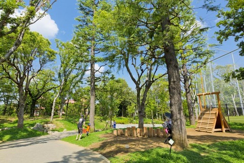 平和の森公園(徒歩4分)