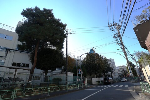 世田谷区立瀬田中学校(徒歩17分)