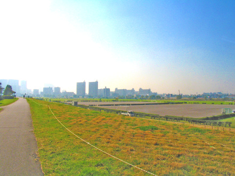 多摩川緑地(徒歩4分)