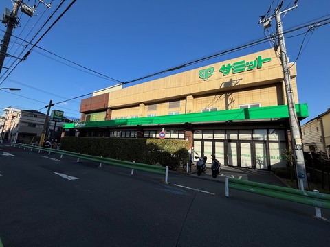 サミットストア 池上8丁目店(徒歩6分)