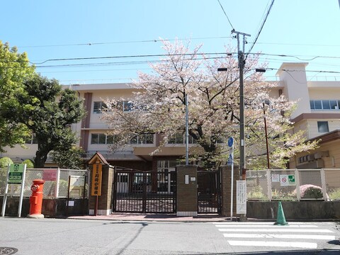 川崎市立川崎小学校(徒歩8分)