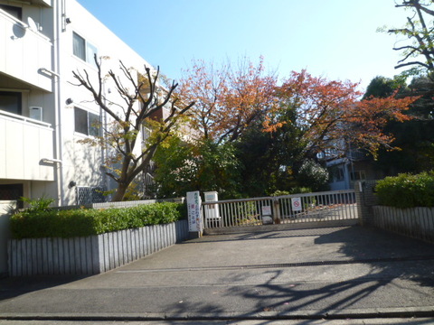 川崎市立小倉小学校(徒歩8分)