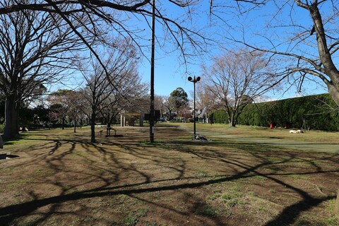 夢見ケ崎公園(徒歩11分)