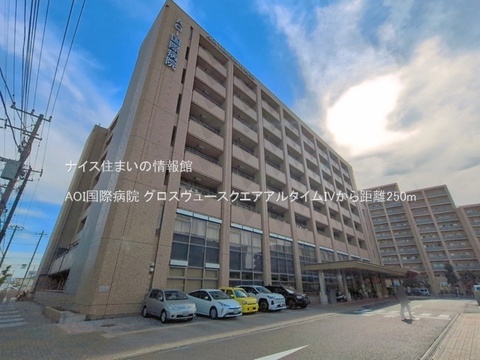 AOI国際病院(徒歩4分)