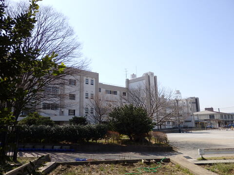 川崎市立 東住吉小学校(徒歩8分)