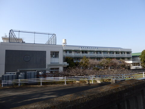 川崎市立西丸子小学校(徒歩8分)