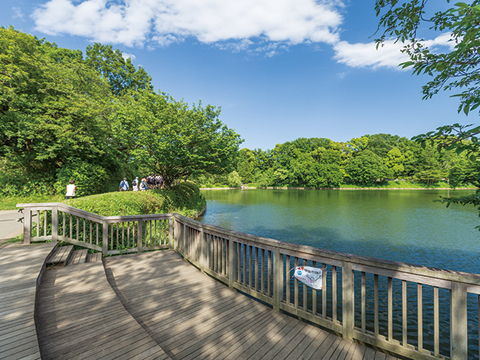 県立 三ツ池公園(徒歩17分)
