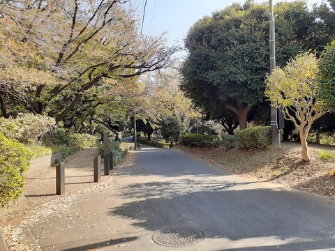 神の木公園(徒歩3分)
