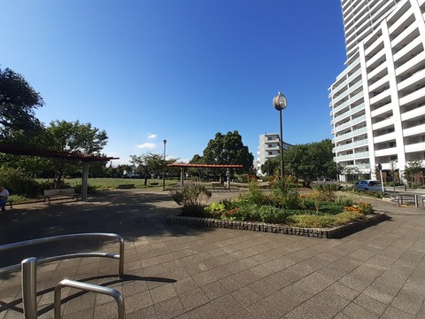 星野町公園(徒歩2分)