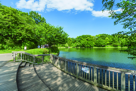 三ツ池公園（正門）(徒歩7分)