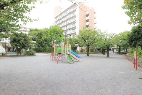 鯉ヶ渕公園(徒歩5分)