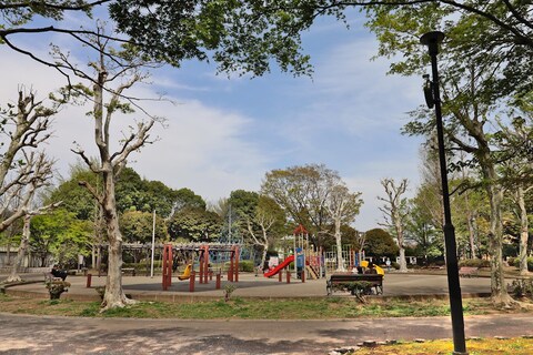 宇都宮駅東公園(徒歩7分)