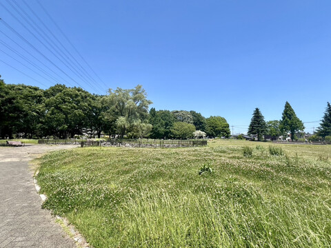 今泉中央公園(徒歩8分)