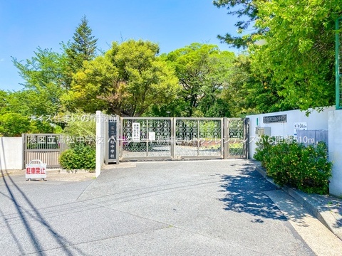 港区立高松中学校(徒歩7分)