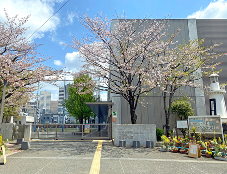 品川区立台場小学校(徒歩3分)