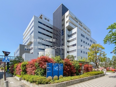 昭和大学病院(徒歩9分)