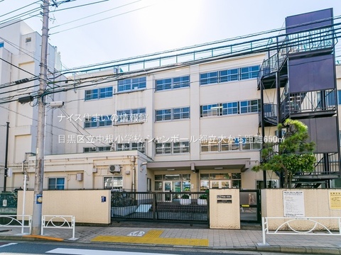 目黒区立中根小学校(徒歩9分)