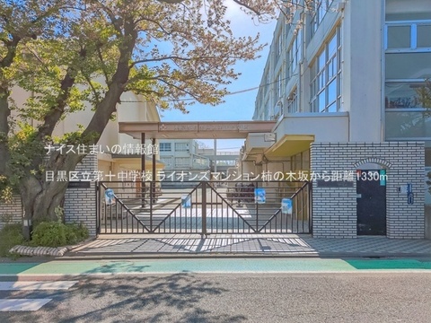 目黒区立第十中学校(徒歩17分)