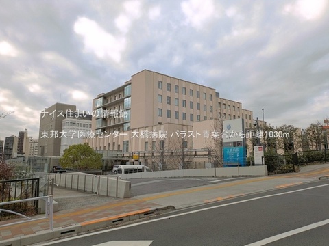 東邦大学医療センター 大橋病院(徒歩13分)