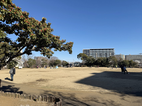 奥田公園(徒歩5分)