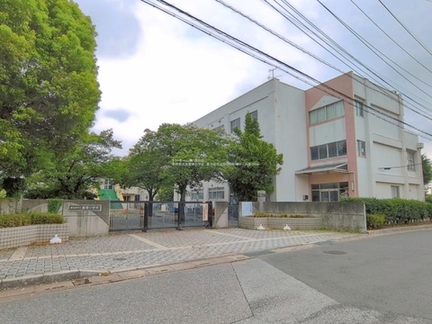 豊春小学校：-m