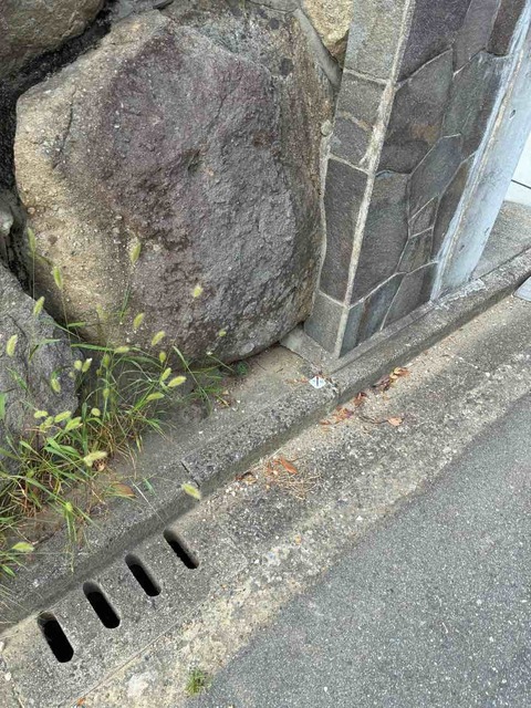 のスライド画像