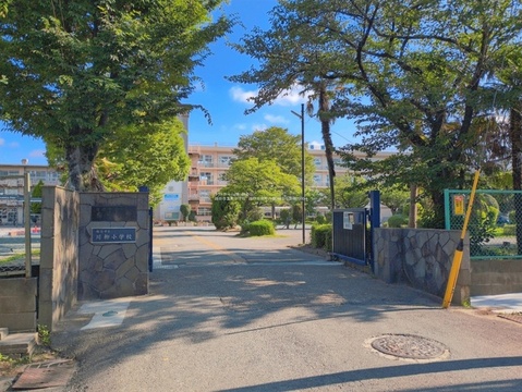 越谷市立南中学校：-m