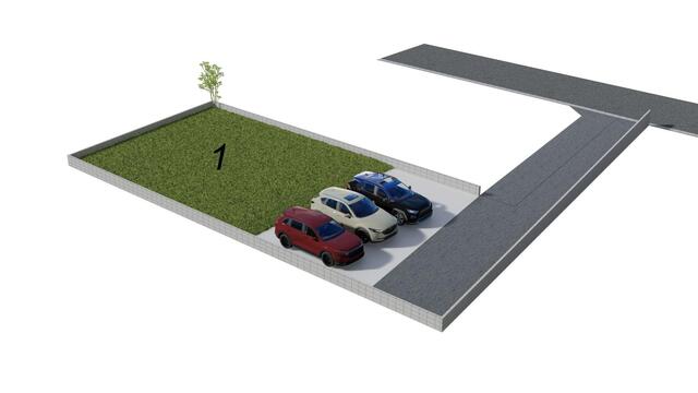 のスライド画像