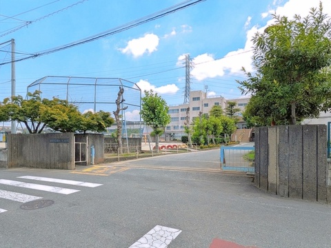 宮本小学校：-m