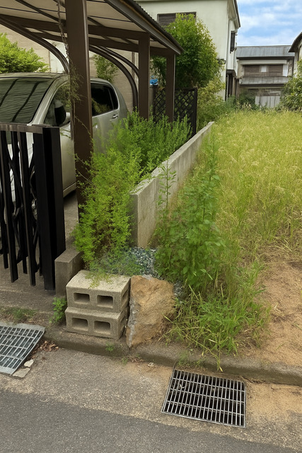 のスライド画像