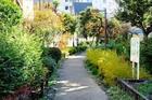 蛇崩川支流緑道(公園)