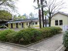 淡島幼稚園（幼稚園、保育園）