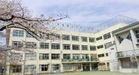 文京区立大塚小学校（小学校）