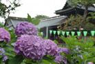 白山公園（公園）