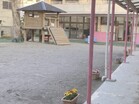 愛星幼稚園（幼稚園、保育園）