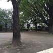 大和北公園（公園）