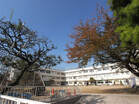 大田区立赤松小学校(小学校)