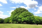 東京都立砧公園（公園）