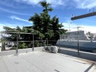 周囲の視線を気にすることなく 寛げる「もうひとつのリビング」屋上ルーフバルコニーは防水シート貼替済です。
